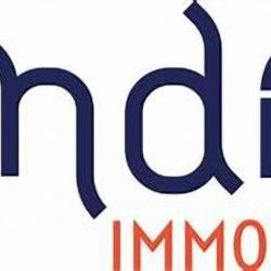 Brice Rapallo Conseiller Immobilier    Endie Dijon