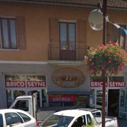 Bricoseyne