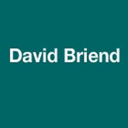 Briend David