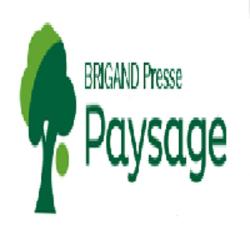 Brigand Entretien Services