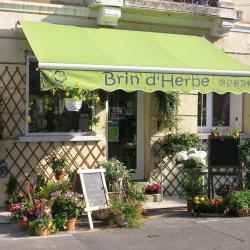 Brin D'herbe