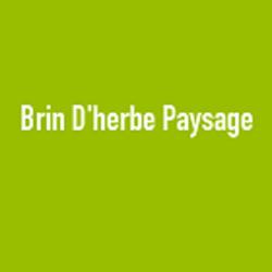 Brin D'herbe Paysage
