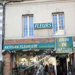 Brin De Nature