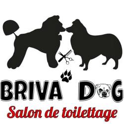Briva Dog