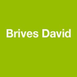 Brives David