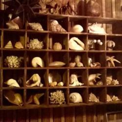 Brocante Gourmande