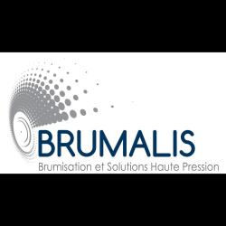 Brumalis