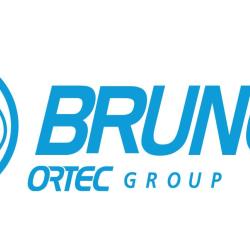 Brunet