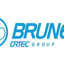 Brunet
