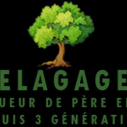 Bs élagage, Paysagiste Du 74