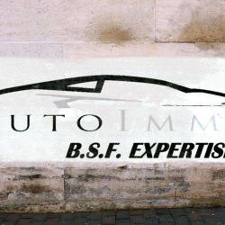 B.s.f Expertises