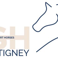 Bsh Valentigney