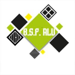 Bsp Alu