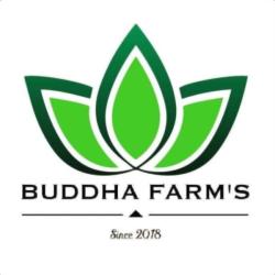 Buddha Farm's - Distributeur Automatique Terville