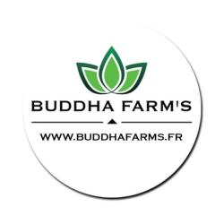 Buddha Farm's Thionville
