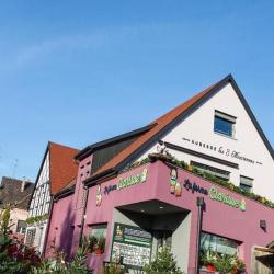 Buecher & Fils