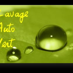Lavage Auto Vert
