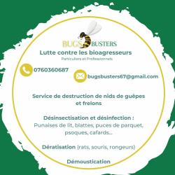 Bugsbusters