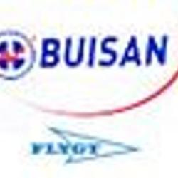 Buisan