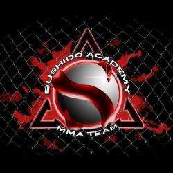 Bushido Academy