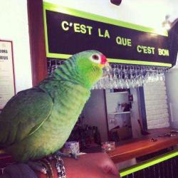 C'est La Que C'est Bon