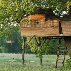 Cabanes Dans Les Arbres