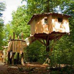 Cabanes Perchées - Parc De Sainte-croix