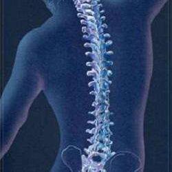 Stephanie Fevrier Chiropracteur
