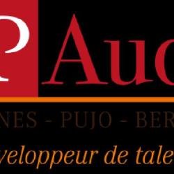 Cabinet Cubaynes Pujo Berthaud - Cp Audit