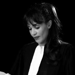 Cabinet D'avocat à Domont Dannièle Chevrotin