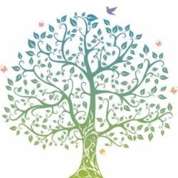 Cabinet De Psychologie Anne Dubarry