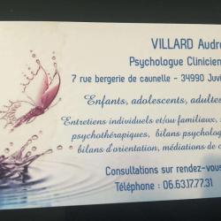 Cabinet De Psychologie Audrey Villard