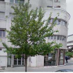 Cabinet Dentiste De Chaumont