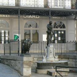 Cabinet Diard Immobilier