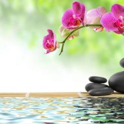 Cabinet ô Zen - Marina Le Méhauté - Sophrologie, Hypnose, Massage - Saint Brieuc