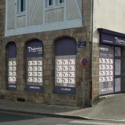 Cabinet Themis
