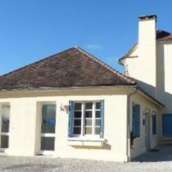 Cabinet Veterinaire De Chat-ours