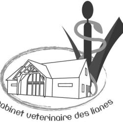 Cabinet Vétérinaire Des Lianes