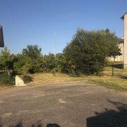 Cabinet Volpi