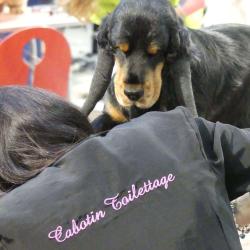 Institut Canin Cabotin Toilettage