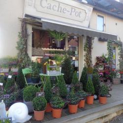 Cache-pot