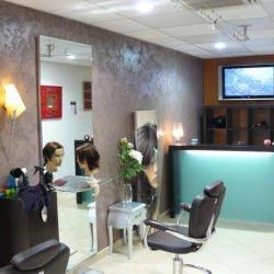Cachou Coiffure Mixte