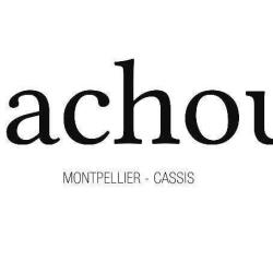 Cachou