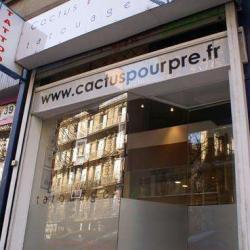 Cactus Pourpre