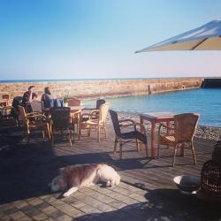 Café Du Port - Restaurant La Hague