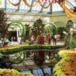 Caffé Bellagio