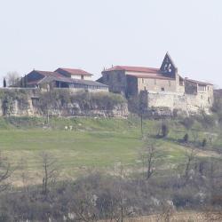 Caillavet