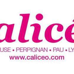 Caliceo