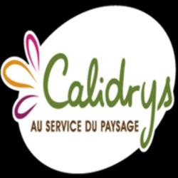 Calidrys