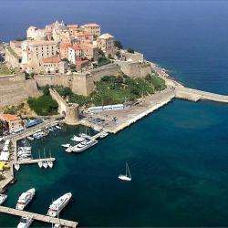 Calvi